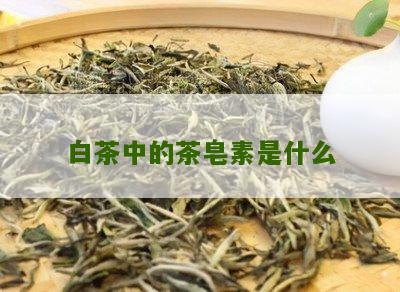 白茶中的茶皂素是什么