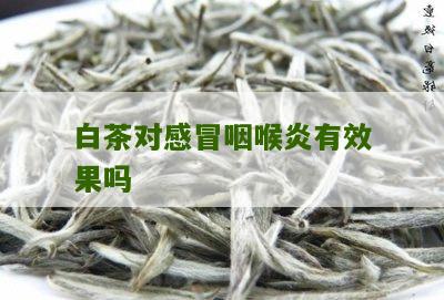 白茶对感冒咽喉炎有效果吗