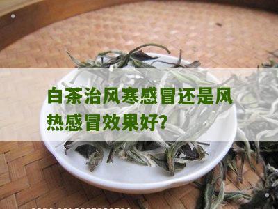 白茶治风寒感冒还是风热感冒效果好？