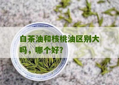 白茶油和核桃油区别大吗，哪个好？