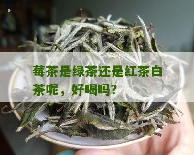 莓茶是绿茶还是红茶白茶呢，好喝吗？