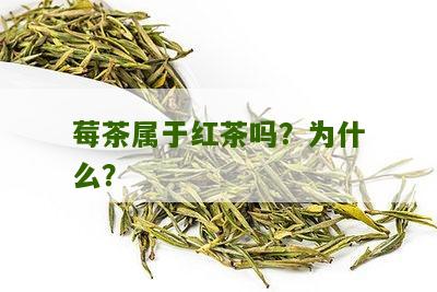 莓茶属于红茶吗？为什么？