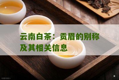 云南白茶：贡眉的别称及其相关信息