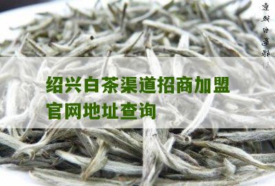 绍兴白茶渠道招商加盟官网地址查询