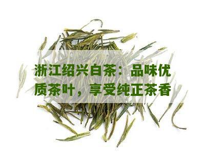 浙江绍兴白茶：品味优质茶叶，享受纯正茶香