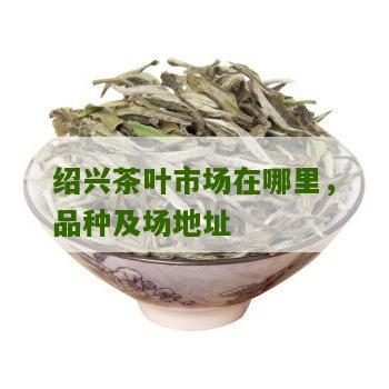 绍兴茶叶市场在哪里，品种及场地址