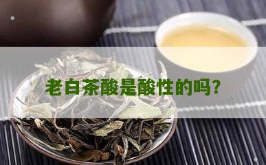 老白茶酸是酸性的吗？