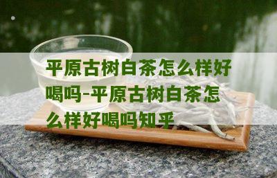 平原古树白茶怎么样好喝吗-平原古树白茶怎么样好喝吗知乎