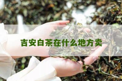 吉安白茶在什么地方卖