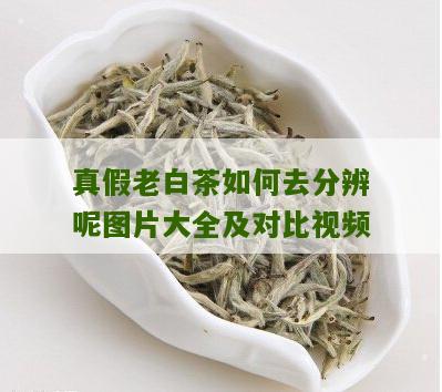 真假老白茶如何去分辨呢图片大全及对比视频