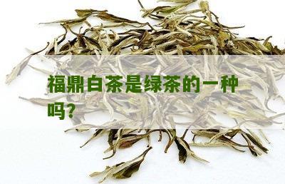 福鼎白茶是绿茶的一种吗？