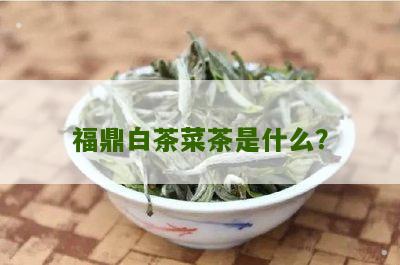 福鼎白茶菜茶是什么？