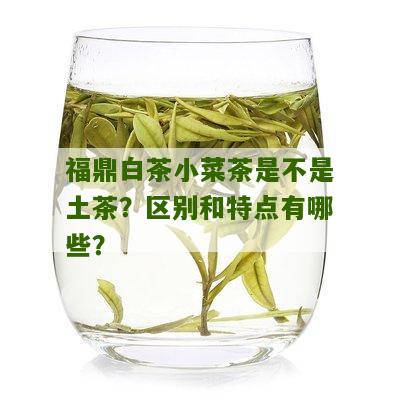 福鼎白茶小菜茶是不是土茶？区别和特点有哪些？