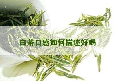 白茶口感如何描述好喝