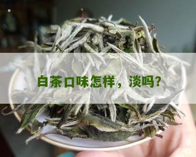 白茶口味怎样，淡吗？