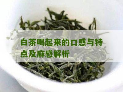 白茶喝起来的口感与特点及麻感解析