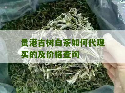 贵港古树白茶如何代理买的及价格查询