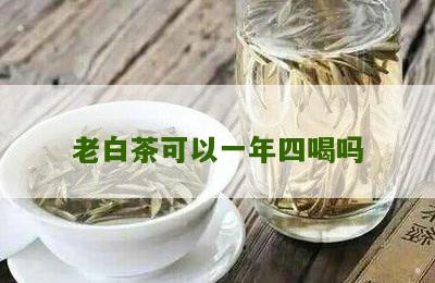 老白茶可以一年四喝吗