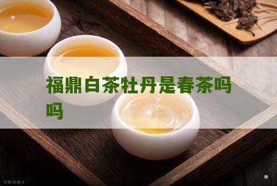 福鼎白茶牡丹是春茶吗吗