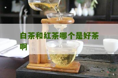 白茶和红茶哪个是好茶啊