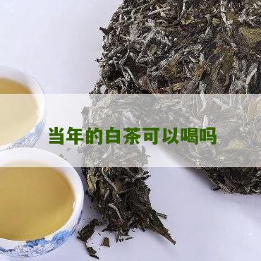 当年的白茶可以喝吗