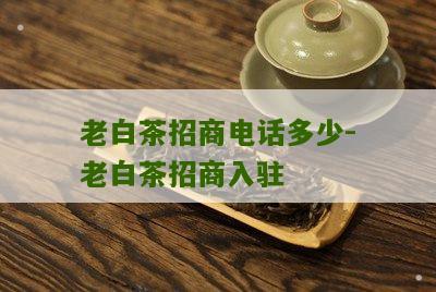 老白茶招商电话多少-老白茶招商入驻