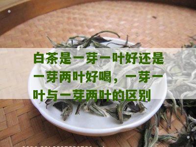 白茶是一芽一叶好还是一芽两叶好喝，一芽一叶与一芽两叶的区别