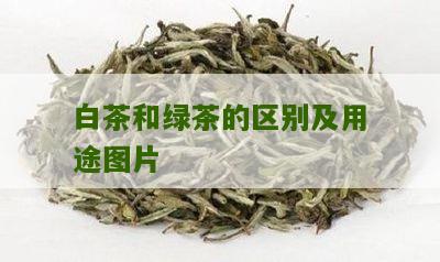 白茶和绿茶的区别及用途图片