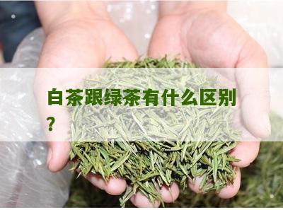 白茶跟绿茶有什么区别？