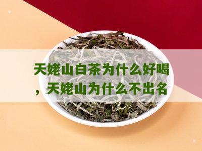 天姥山白茶为什么好喝，天姥山为什么不出名