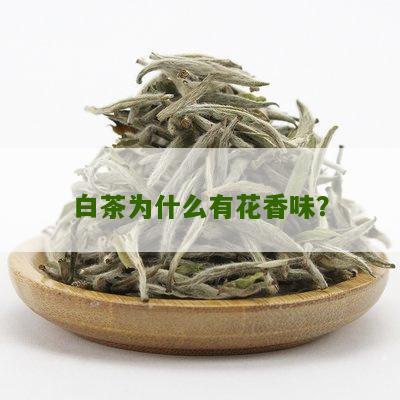 白茶为什么有花香味？