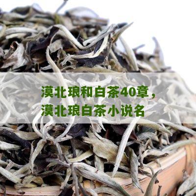 漠北琅和白茶40章，漠北琅白茶小说名