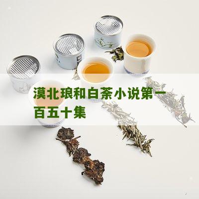 漠北琅和白荼小说第一百五十集