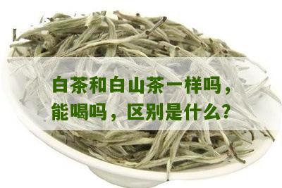 白茶和白山茶一样吗，能喝吗，区别是什么？