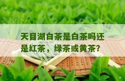 天目湖白茶是白茶吗还是红茶，绿茶或黄茶？