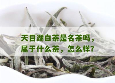 天目湖白茶是名茶吗，属于什么茶，怎么样？