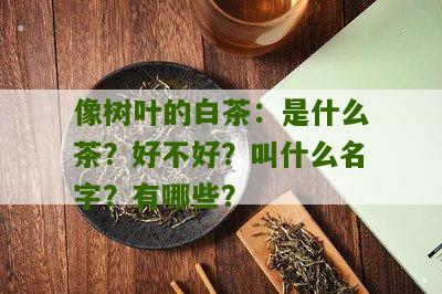 像树叶的白茶：是什么茶？好不好？叫什么名字？有哪些？