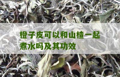 橙子皮可以和山楂一起煮水吗及其功效