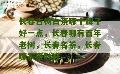 长春古树白茶哪个牌子好一点，长春哪有百年老树，长春名茶，长春哪家茶叶好