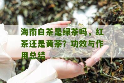 海南白茶是绿茶吗，红茶还是黄茶？功效与作用总结