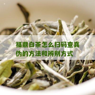 福鼎白茶怎么扫码查真伪的方法和辨别方式