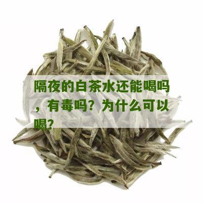 隔夜的白茶水还能喝吗，有毒吗？为什么可以喝？