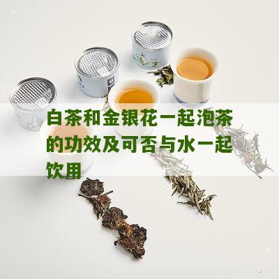 白茶和金银花一起泡茶的功效及可否与水一起饮用