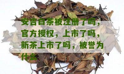 安吉白茶被注册了吗，官方授权，上市了吗，新茶上市了吗，被誉为什么