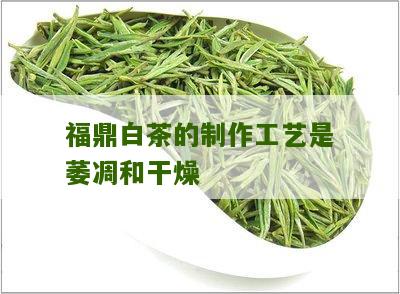 福鼎白茶的制作工艺是萎凋和干燥