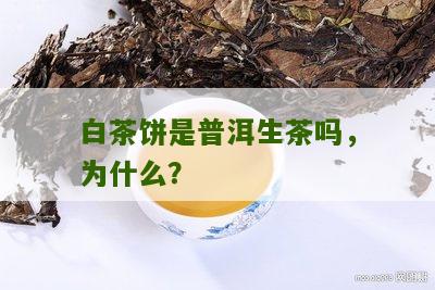 白茶饼是普洱生茶吗，为什么？