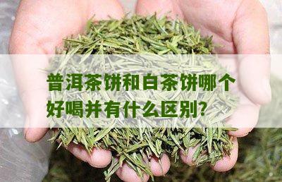 普洱茶饼和白茶饼哪个好喝并有什么区别？