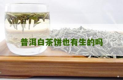 普洱白茶饼也有生的吗