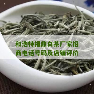 和浩特福鼎白茶厂家招商电话号码及店铺评价