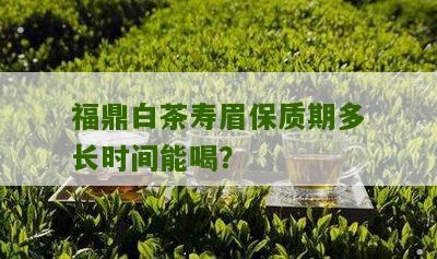 福鼎白茶寿眉保质期多长时间能喝？